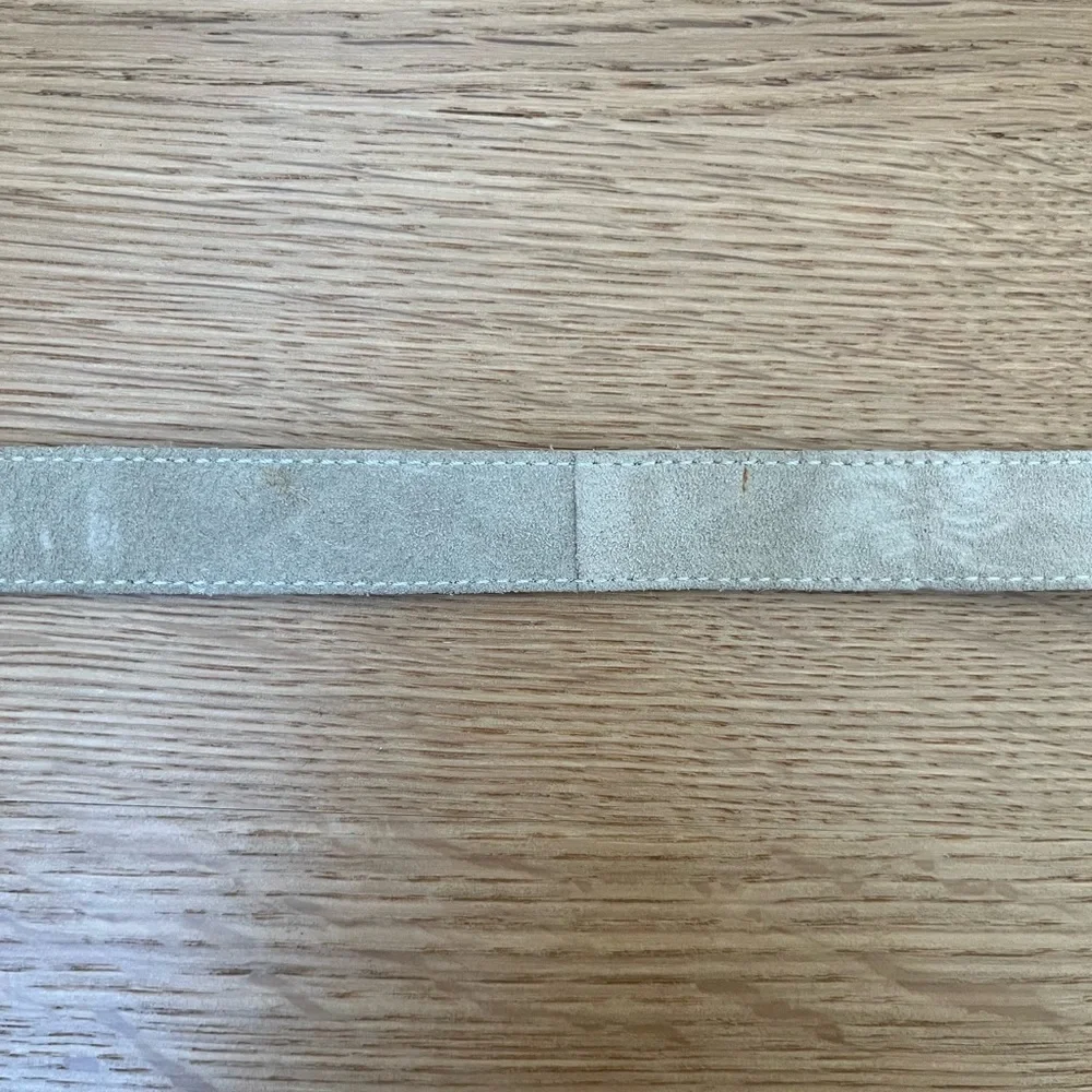 Dries Van Noten Gray Suede Belt With Silver Loop D Ring Closure Size Medium